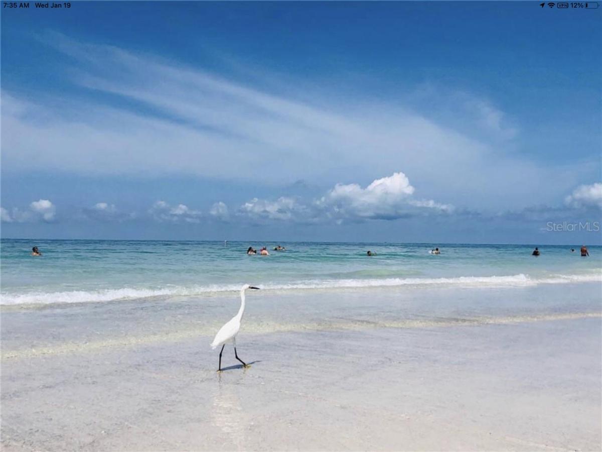 Ami/Holmes Beach - 3/2 Home - Private Heated Pool And Yard - Walk To Beach Ngoại thất bức ảnh